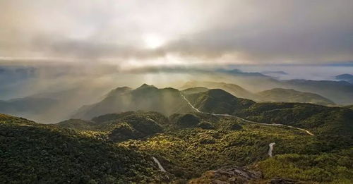 探秘南宁最高的山——大明山