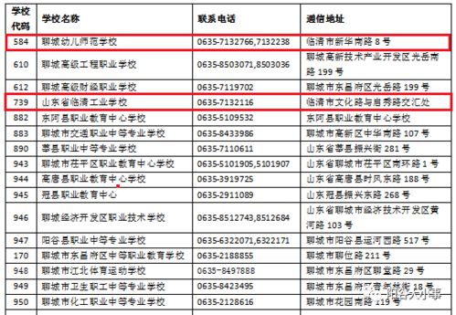 《职业教育招生现状与趋势分析》