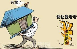 住房维修基金：合理使用与科学管理的秘诀